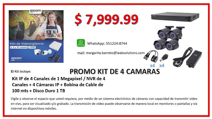Camaras de Video Vigilancia