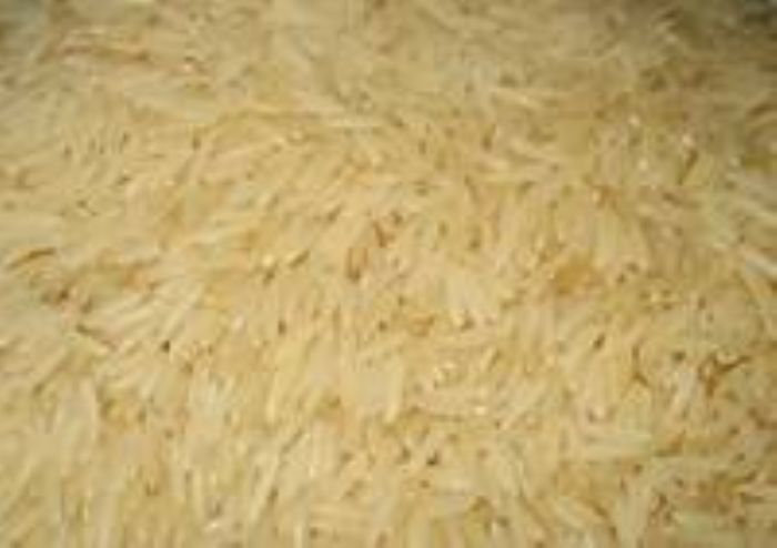 RICE
