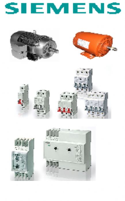 MOTORES SIEMENS