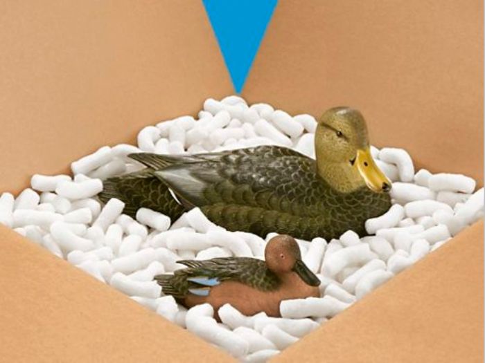 CACAHUATE BIODEGRADABLE