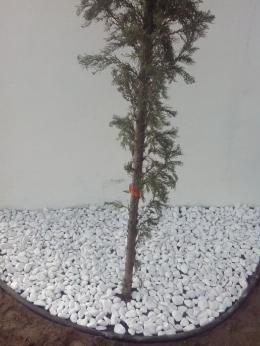 Frontera plastica para Diseño de Jardin