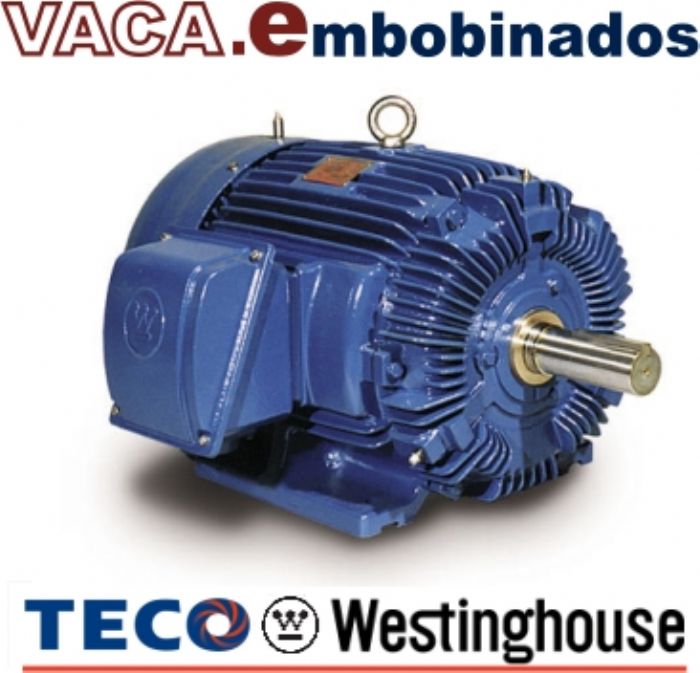 Motores Eléctricos TECO Westinghouse - A Prueba de Explosion