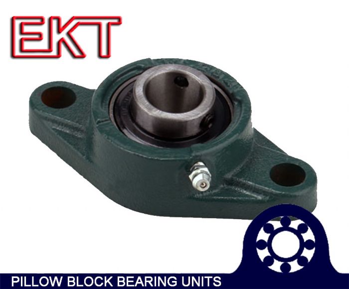 UCFL206 bearing EKT pillow block bearing unit