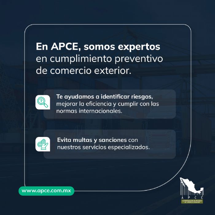 Asesoría y Consultoría en Comercio Exterior