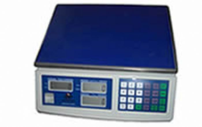 Básculas electrónica WIM – PCS