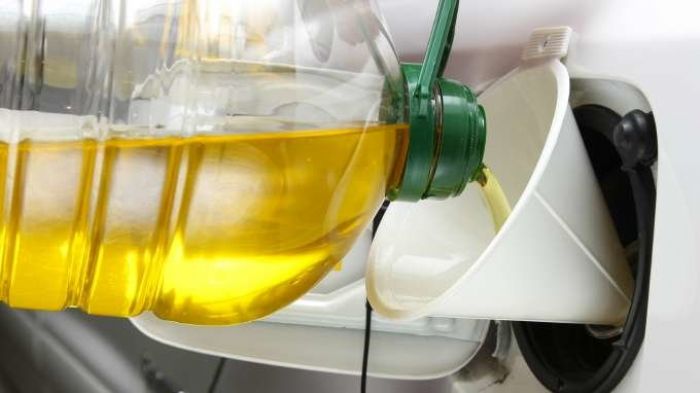 BIO COMBUSTIBLE