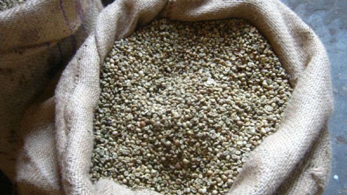 Café Verde en Grano