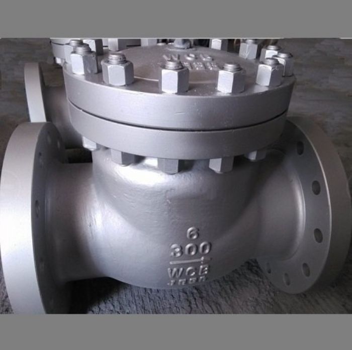 Carbon Steel Flanged Check Valve