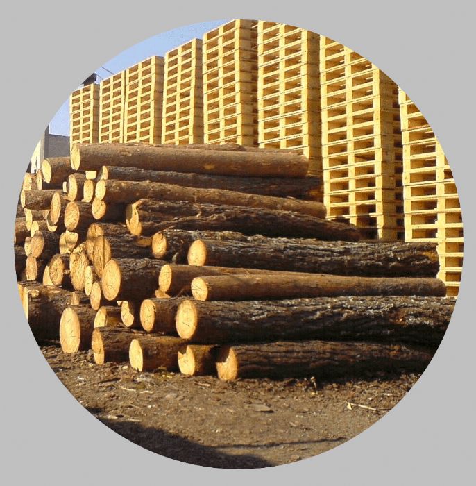 Tarimas de madera