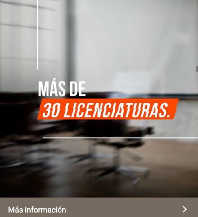 LICENCIATURAS 