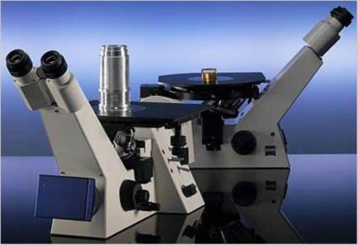 Microscopio