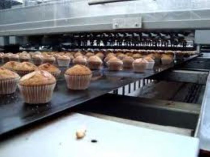 Máquina de Producción de Alimentos Nuevos y Usados Tecnología japonesa 