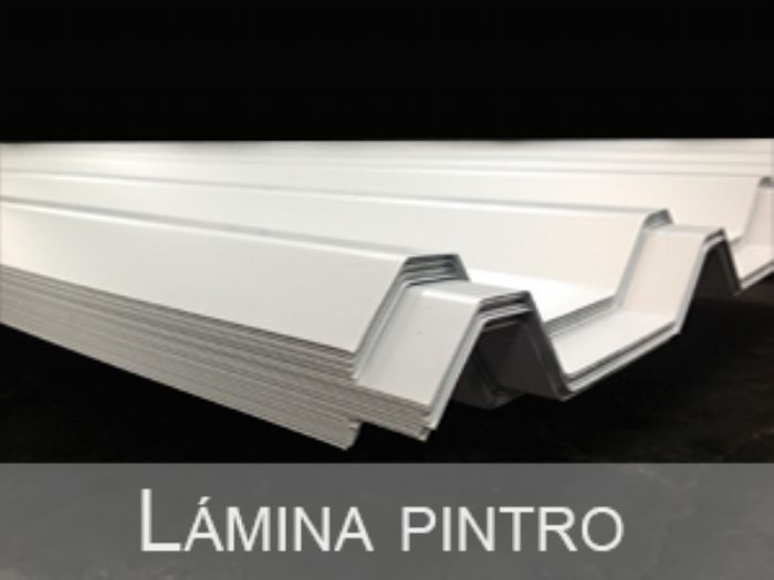 LAMINA PINTRO Y ZINTRO