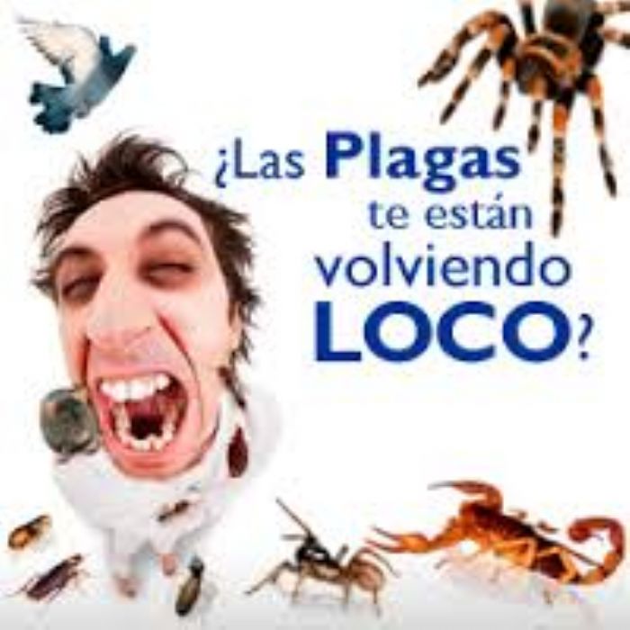 servicios de fumigaciones
