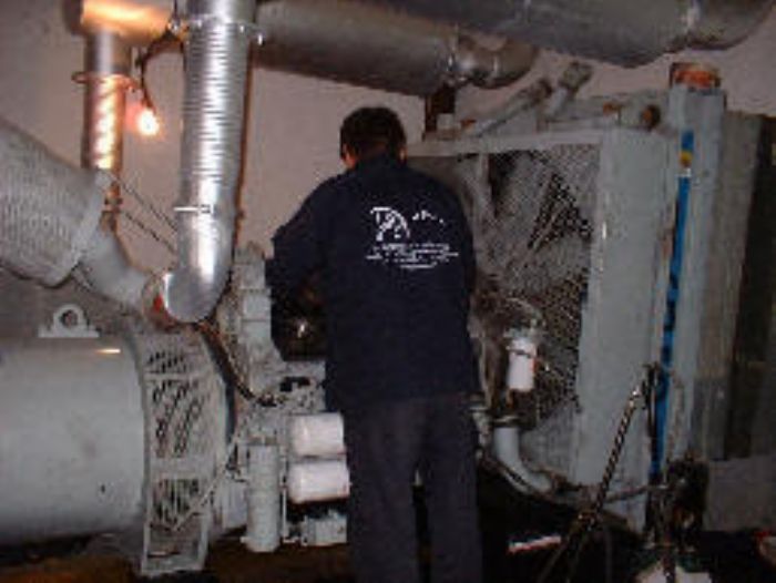 mantenimiento a plantas electricas
