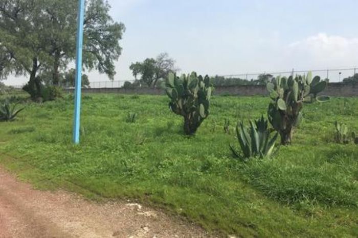 Terreno En Venta En San Sebastián Zumpango