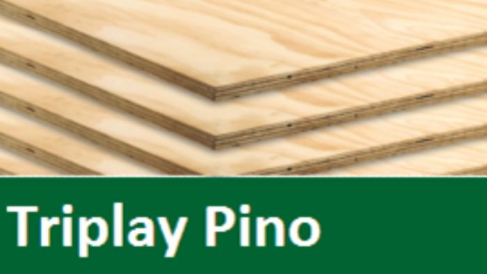Triplay Pino