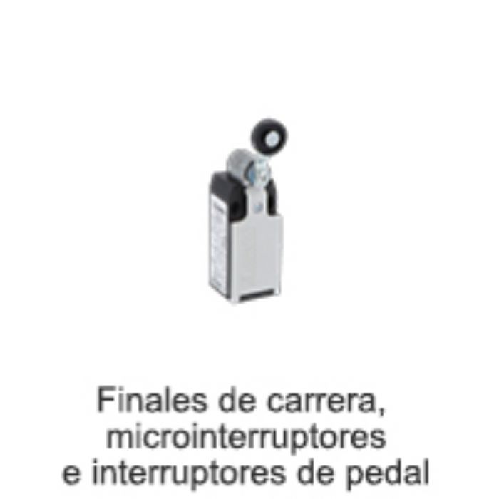 MICROINTERRUPTORES 