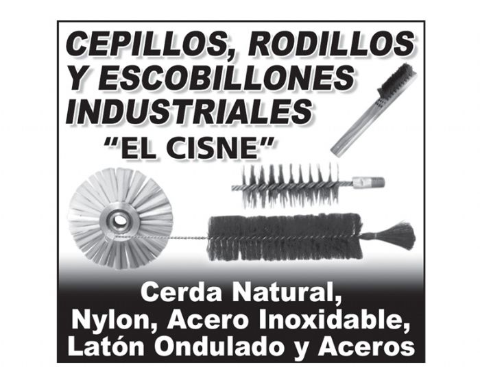 Escobillones industriales