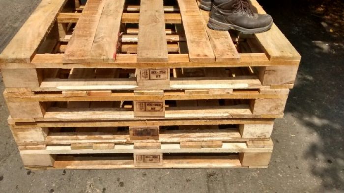 Tarima de madera o plastico