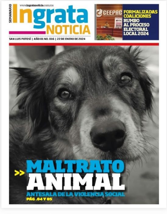 ROTATIVA (SEMANARIOS)