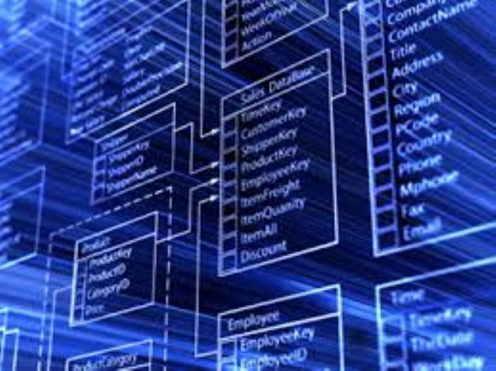 Bases de datos
