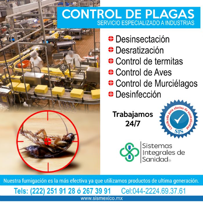 Servicio de Fumigacion