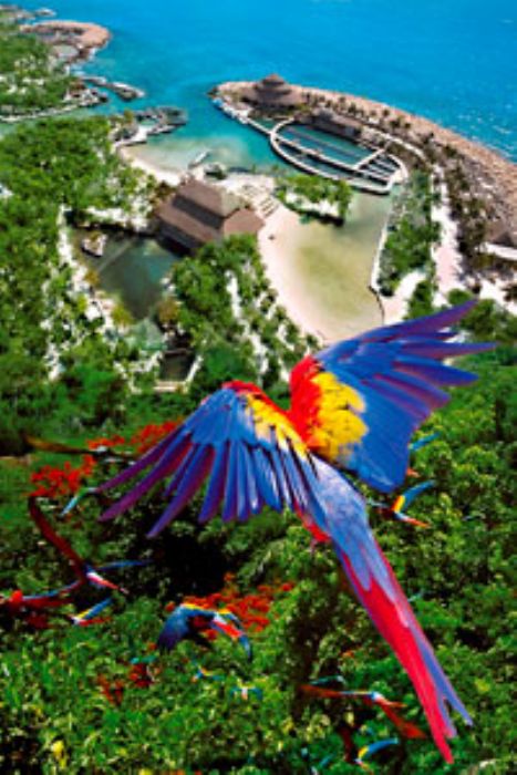 Excursiones a Xcaret