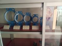 Valve casting
