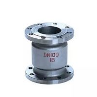 Vertical Lift Check Valve