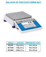 BALANZA DE PRECISION