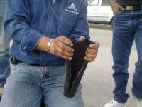 Servicio de detección de fallas en cables de potencia (XF)