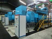 Cogeneracion de Energia