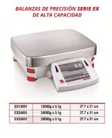 BALANZA DE PRECISION