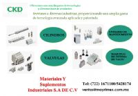 NEUMATICA