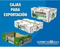 CAJAS PARA AGUACATE