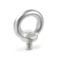 Pernos de ojo de elevación Acero inoxidable A2