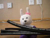 rubber hose R1AT/1SN
