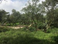 Terreno En Venta En San Sebastián, Zumpango