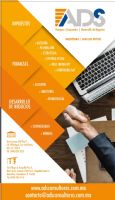 CONSULTORIA EN FINANZAS