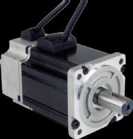 SERVOMOTOR J0750-302-5-000