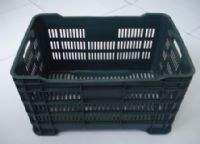 CAJA MARIA CALADA REPROCESO