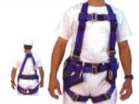 ARNES DE SEGURIDAD