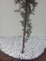 Frontera plastica para Diseño de Jardin
