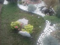 Elegante Jardin Con Separador Plastico