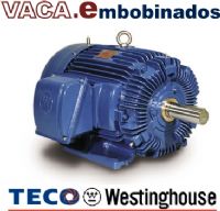 Motores Eléctricos TECO Westinghouse - A Prueba de Explosion
