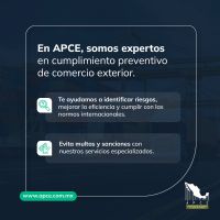 Asesoría y Consultoría en Comercio Exterior
