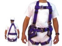 ARNES DE SEGURIDAD
