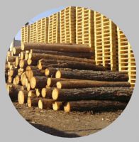Tarimas de madera