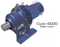 MOTORREDUCTOR CYCLOIDAL